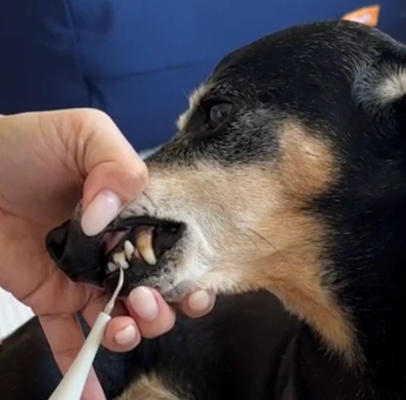 <h2>Echte resultaten van echte klanten</h2>