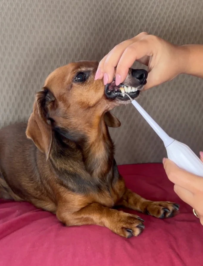 <h2>Echte resultaten van echte klanten</h2>