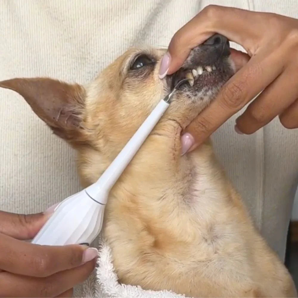 <h2>Echte resultaten van echte klanten</h2>